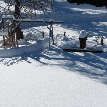 Haus Wallinger Abtenau Zewnętrze zdjęcie