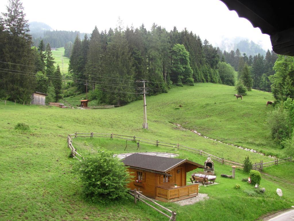 Haus Wallinger Abtenau Zewnętrze zdjęcie